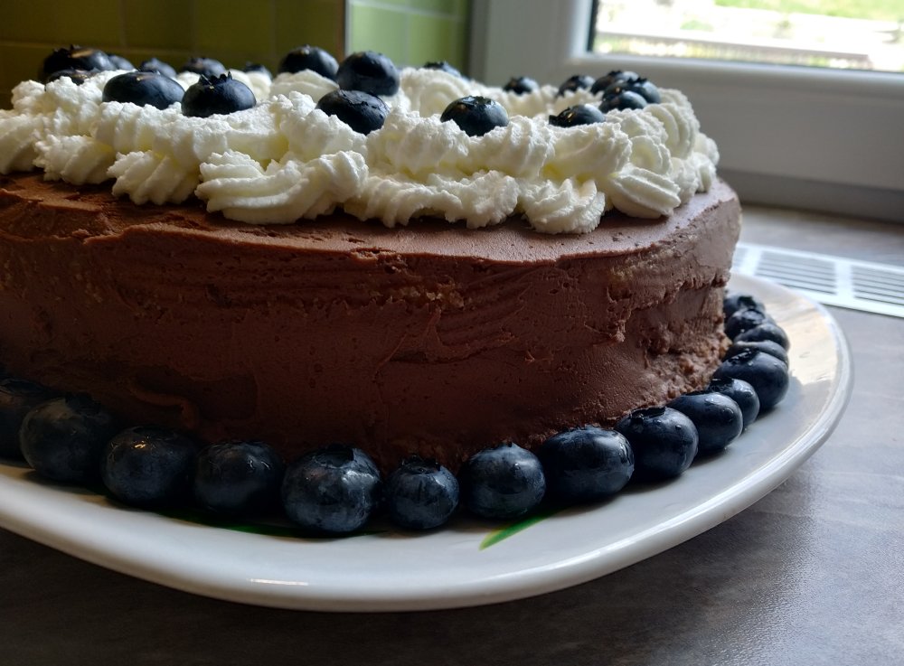 Čokoládový dort s borůvkami